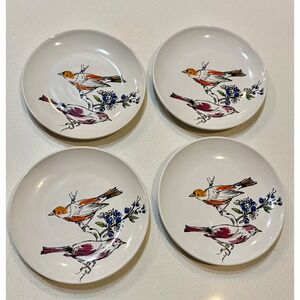 Signature Housewares Room Creative Color Sketch Birds Stoneware Plates Set of 4‎